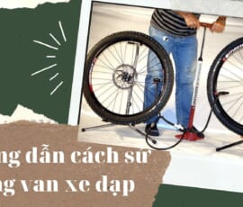 van xe đạp là gì